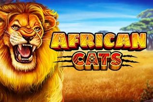 African Cats