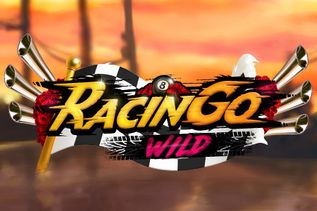 Racingo Wild FBM Easy Money Link