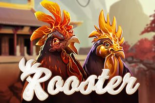 Rooster