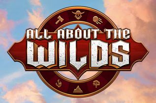 All About The Wilds