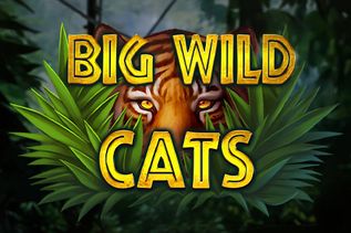 Big Wild Cats