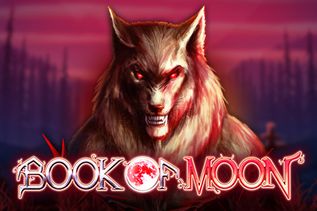 Book Of Moon