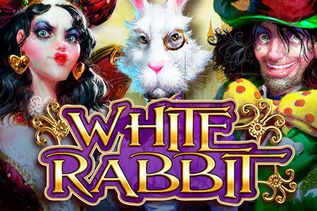 White Rabbit