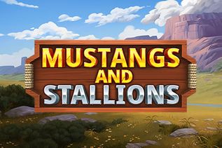 Mustang and Stallions