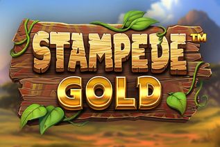 Stampede Gold