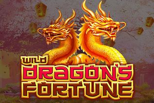 Wild Dragon's Fortune